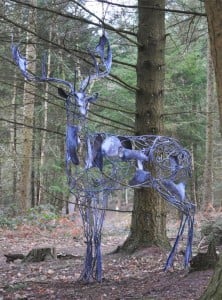 Buck sculpture David Freedman