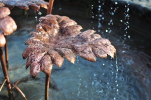 Fountain close up David Freedman