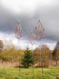 Seed Pods David Freedman