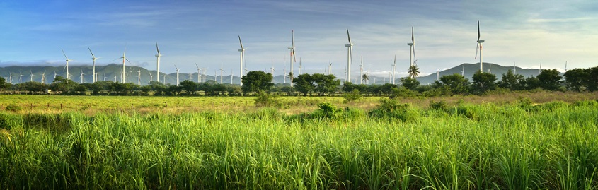 Clean energy powered by wind turbines