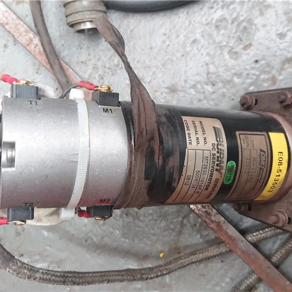 Burny Motor MT 2630-141 with Bison Gear Box