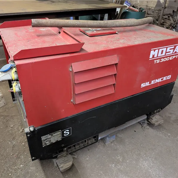 Mosa TS300 EPI Diesel Welder Generator