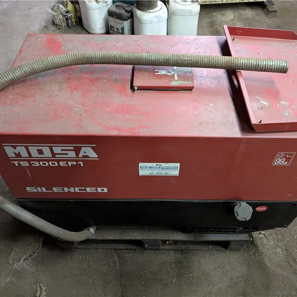 Mosa TS300 EPI Diesel Welder Generator