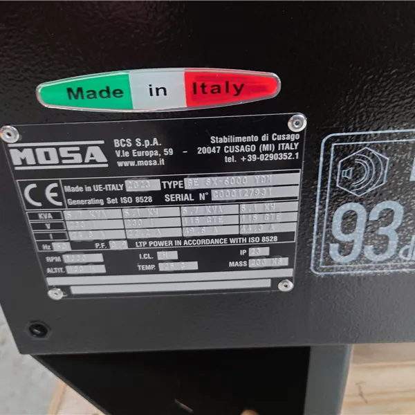 Mosa GE SX-6000 YDM Diesel Generator 110/230V