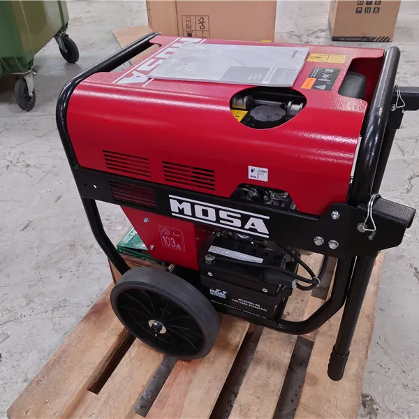 Mosa Magic Weld 200 YDE Diesel Welder Generator